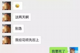 开平贷款清欠服务